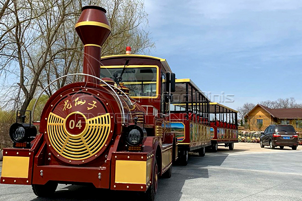 Amusement Fun Train Rides for Family in Dinis Plant