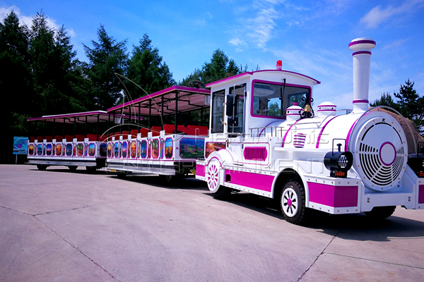 Get Customized Outdoor Train Rides Equipment from Dinis for Your Amusement Park Business