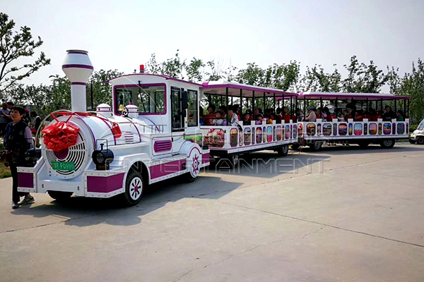 Small Passenger Backyard Trains for Sale for Both Children and Parents at Home